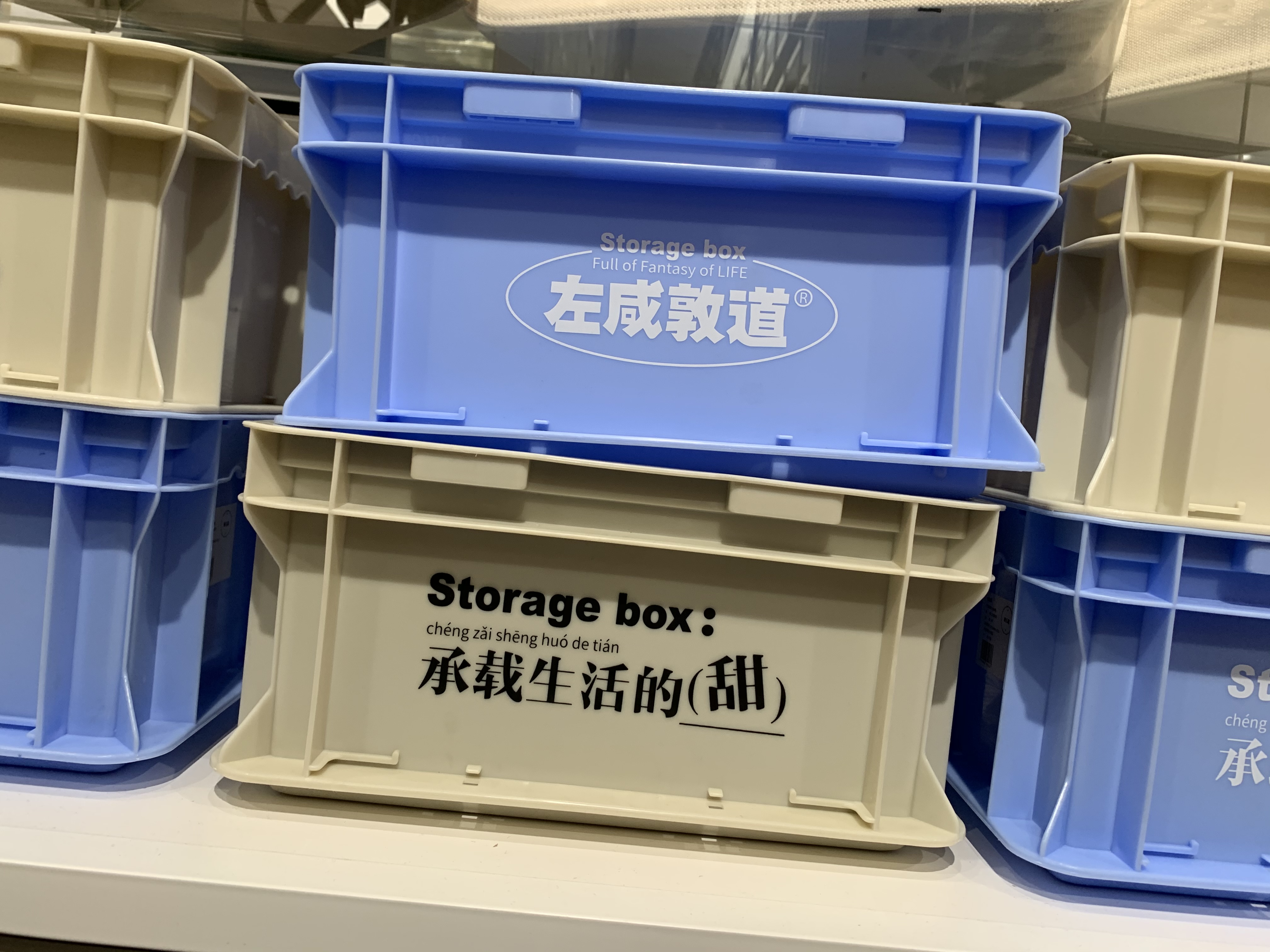 0118左咸墩道IMG_3924.JPG