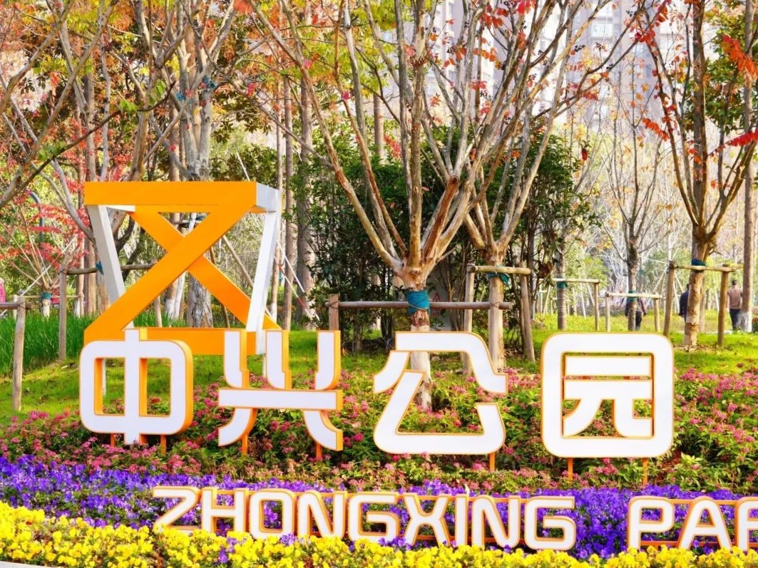 正文图片