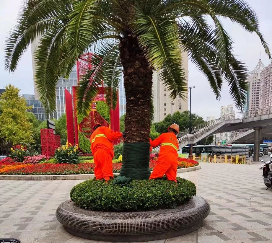 微信图片_20230122215253.jpg