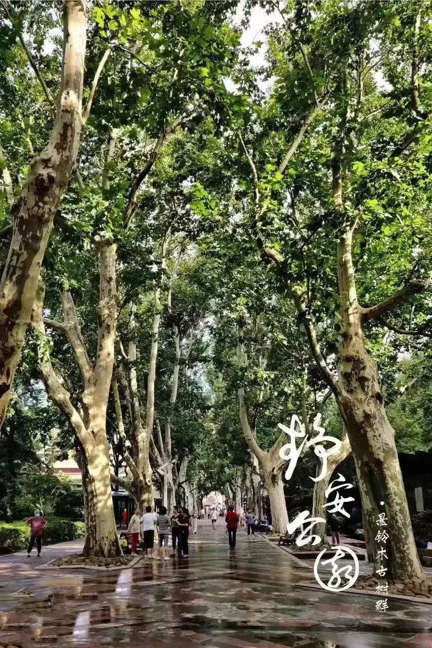 微信图片_20230109142516.jpg