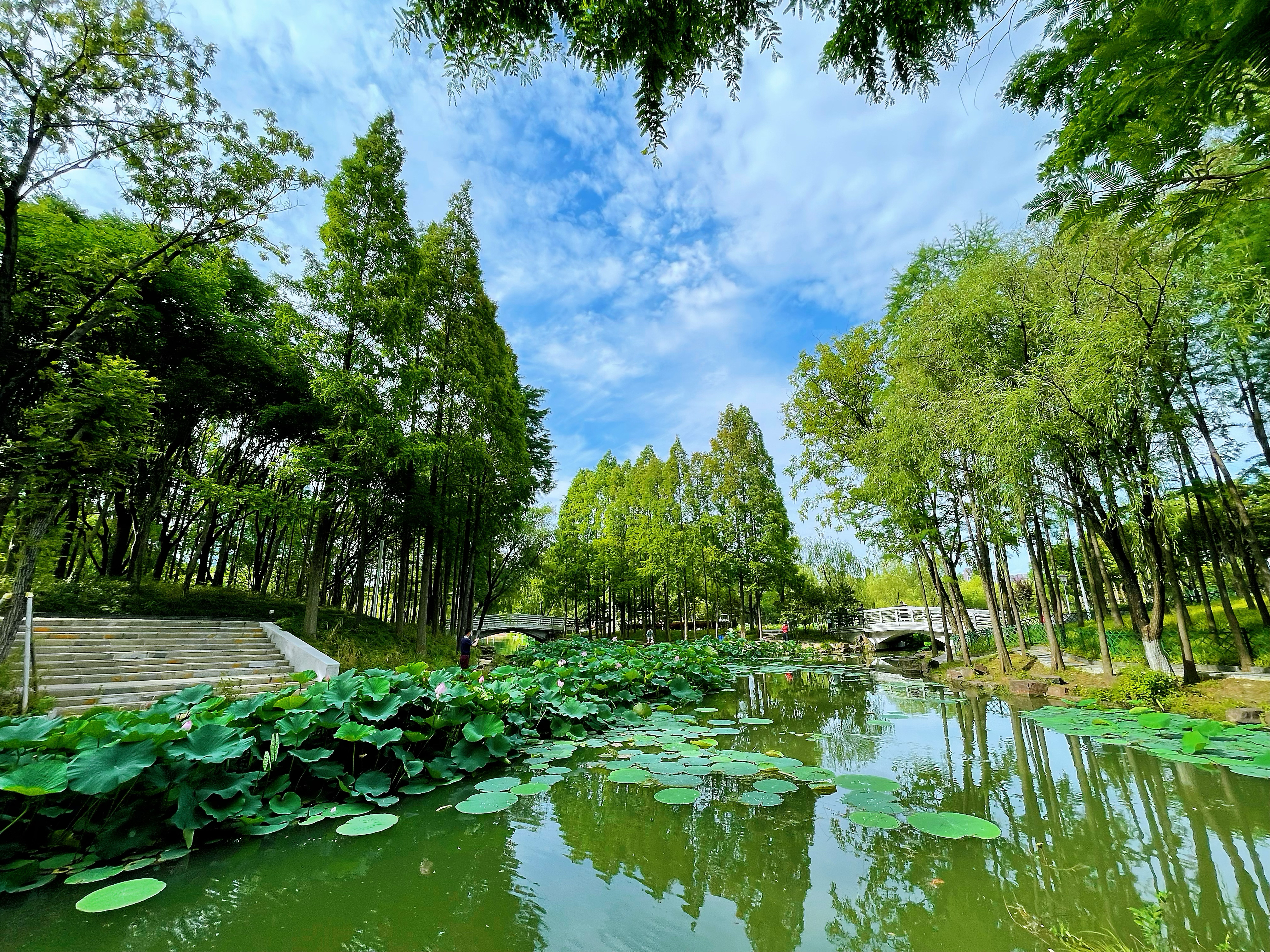 大场景1.jpg
