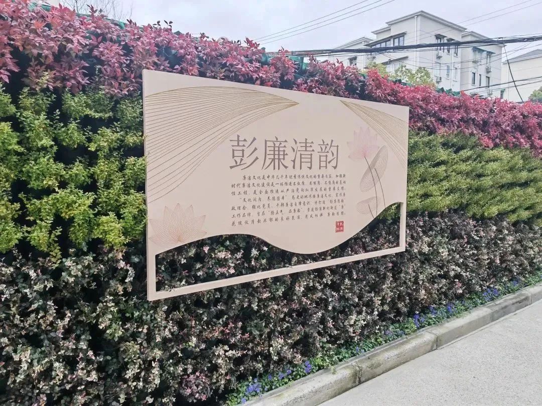 正文图片
