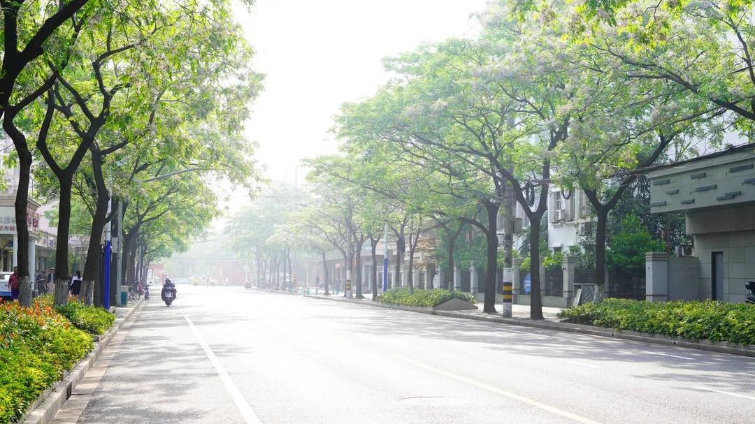 阳城路（原平路-沪太支路）.jpg