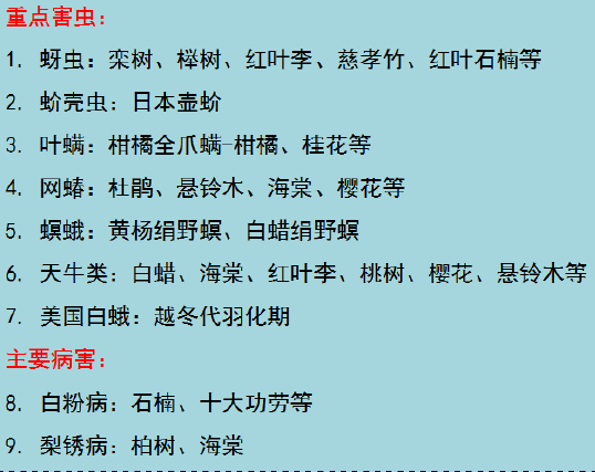 正文图片
