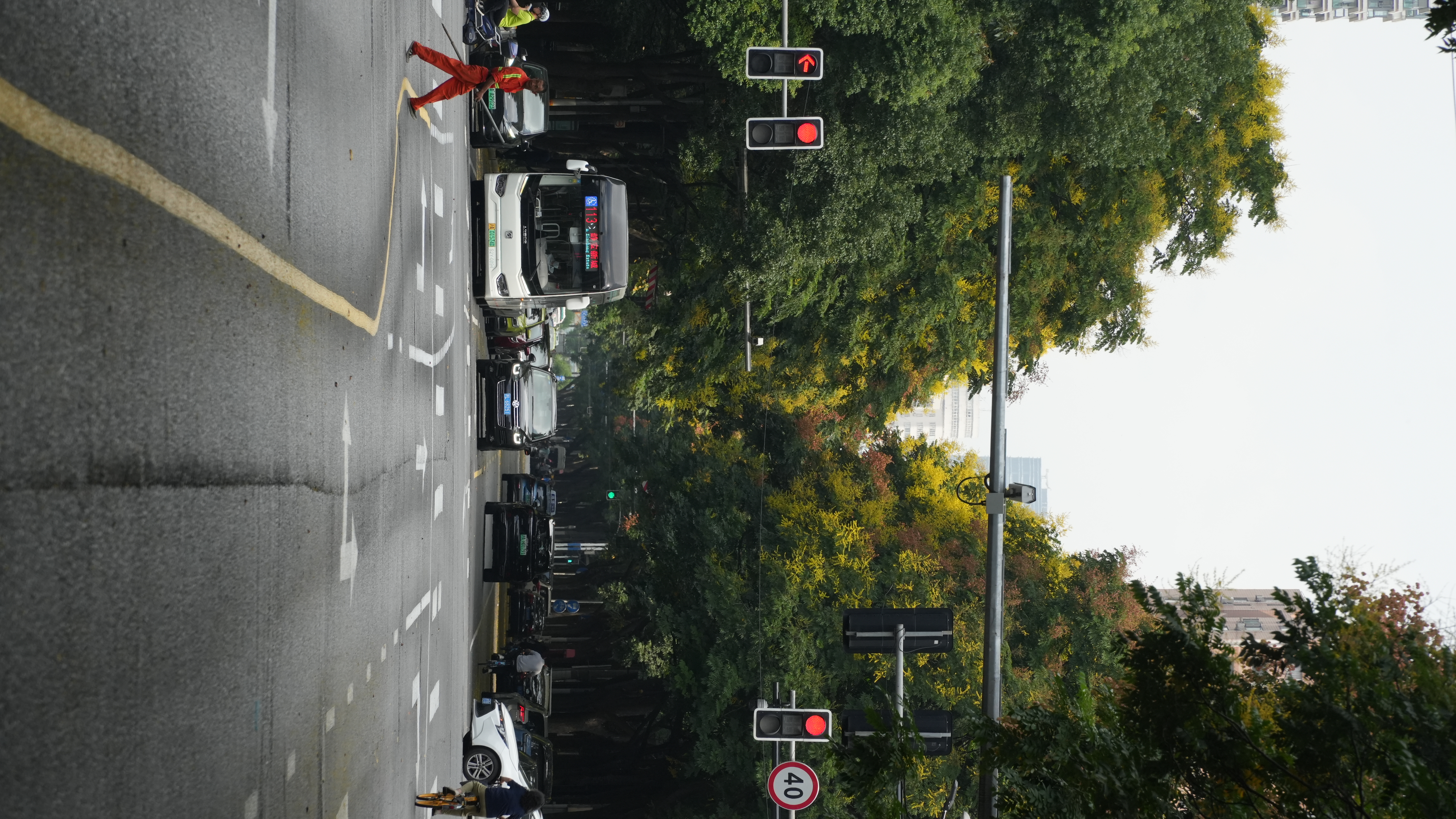 DSC08084.JPG