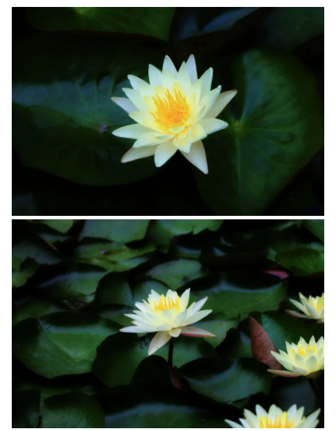 5a3618b9cec84f7ea43a4e6ef7b84f7c.png