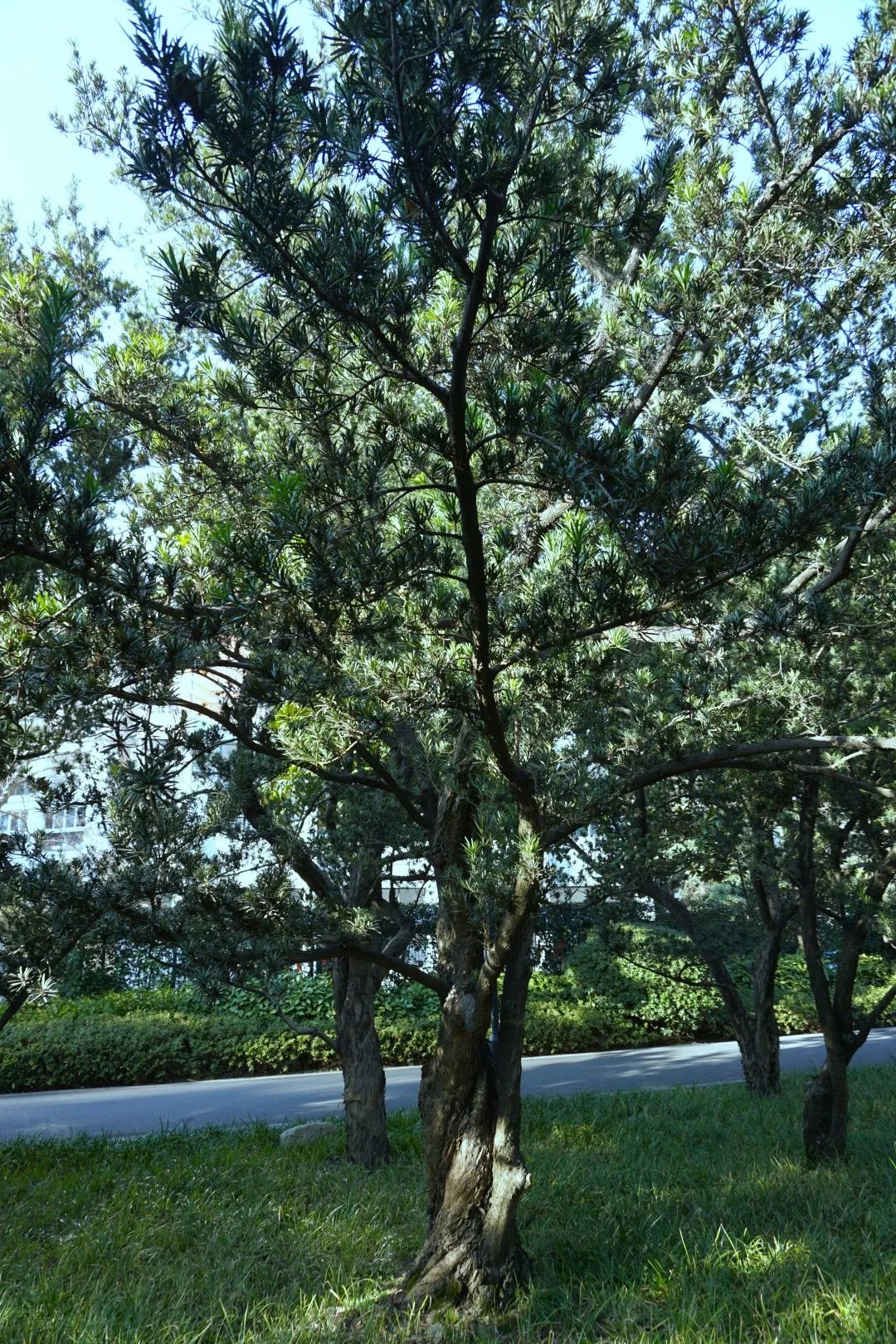 微信图片_20230207172158.jpg