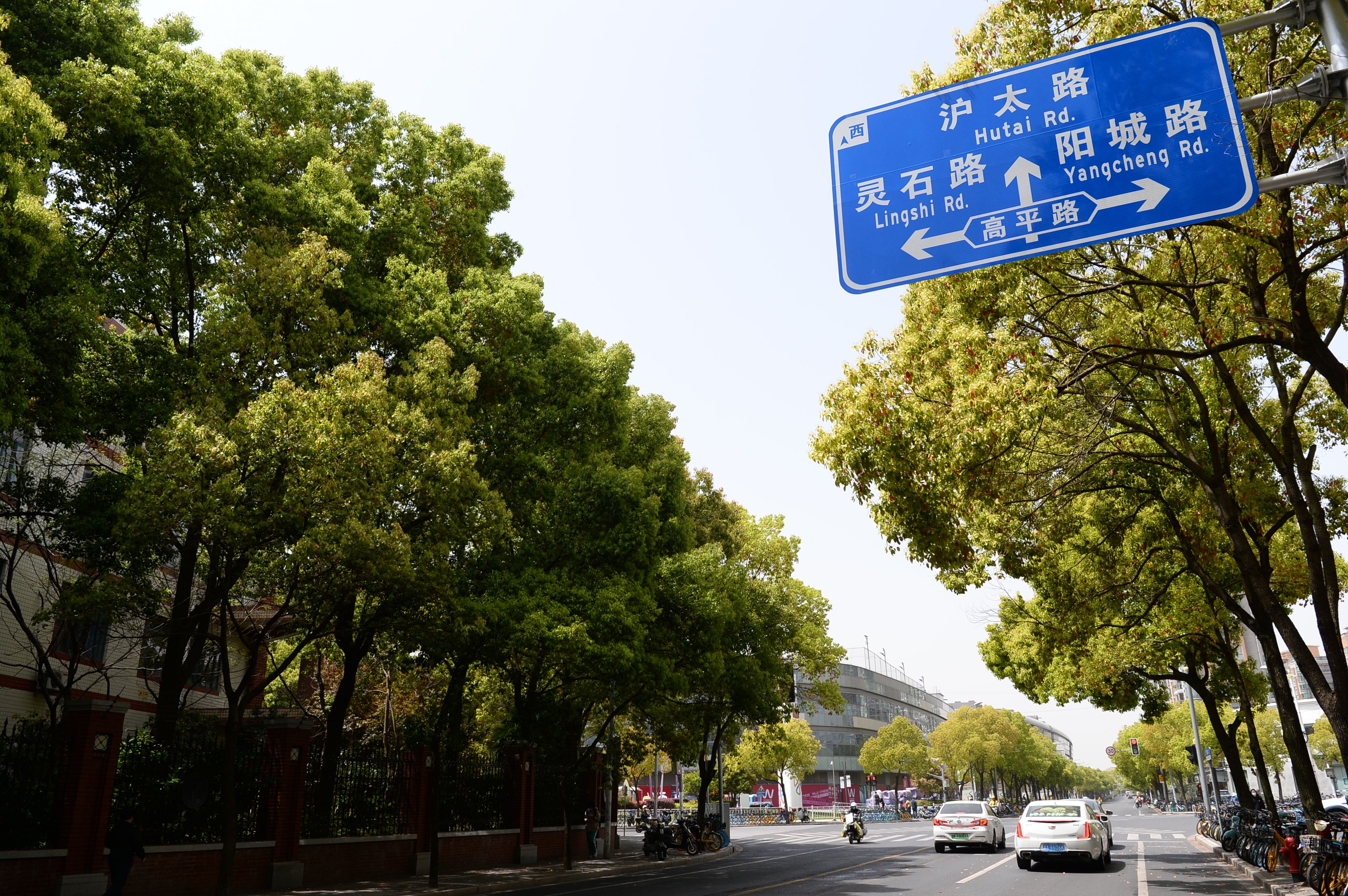 正文图片