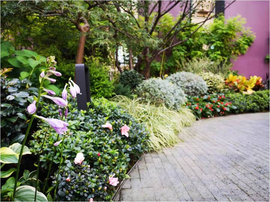 同福街心花园-图片5.jpg