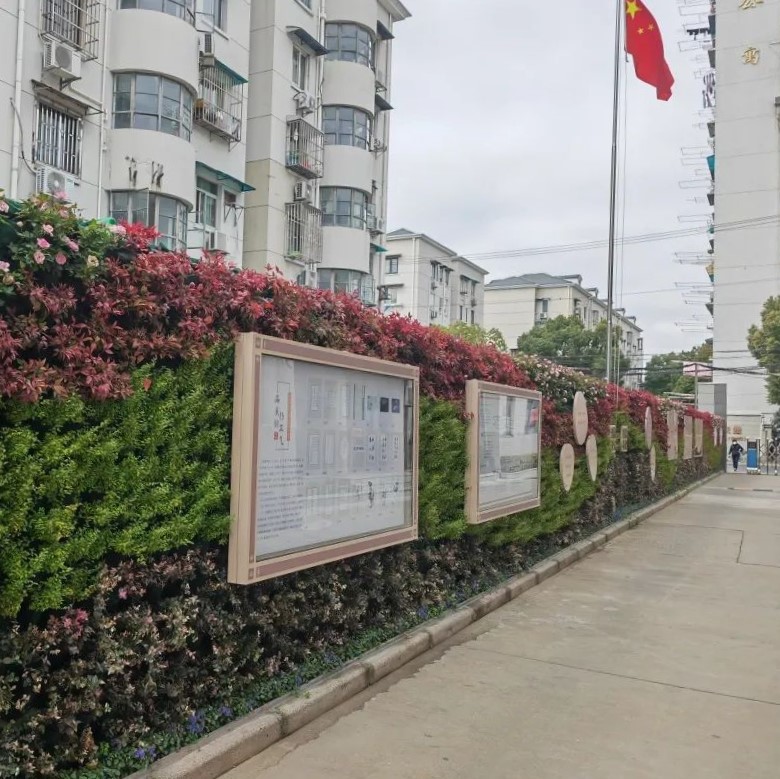 正文图片