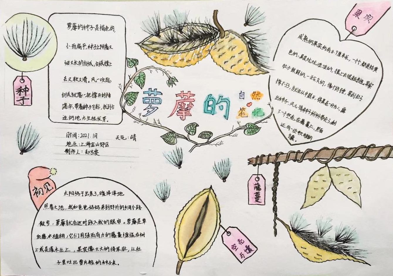 图7笔记自然.jpeg