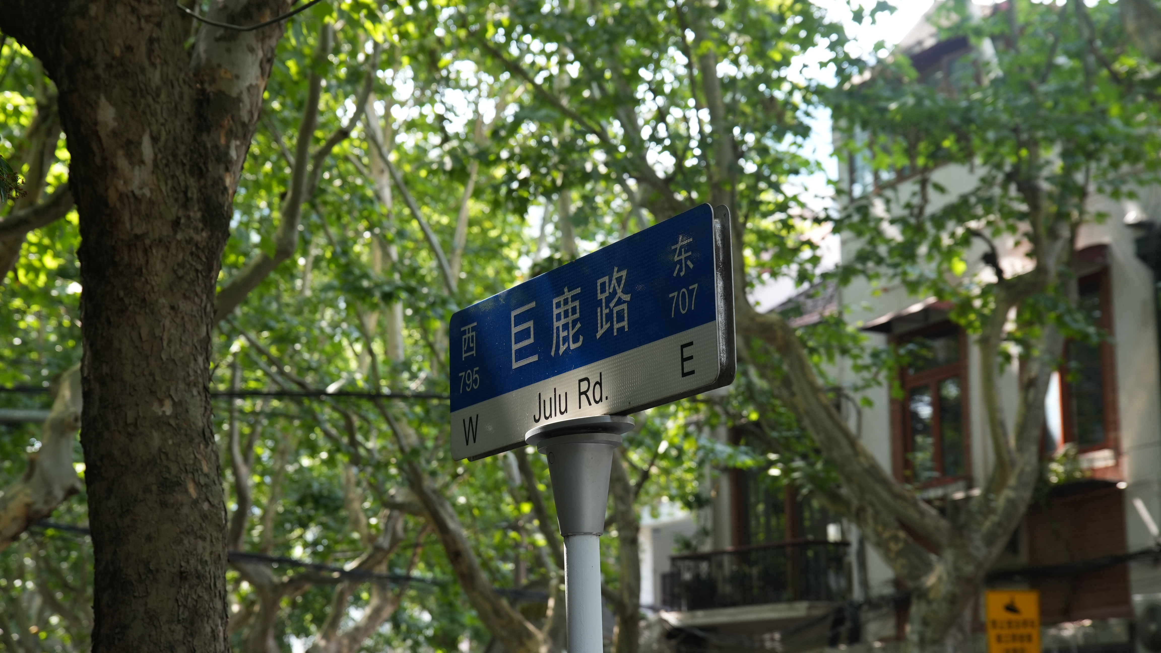 DSC02032.JPG