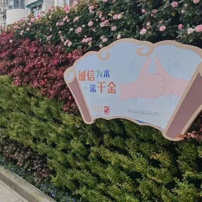 正文图片