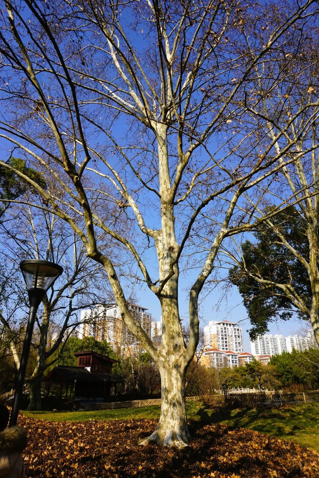 微信图片_20230207172144.jpg