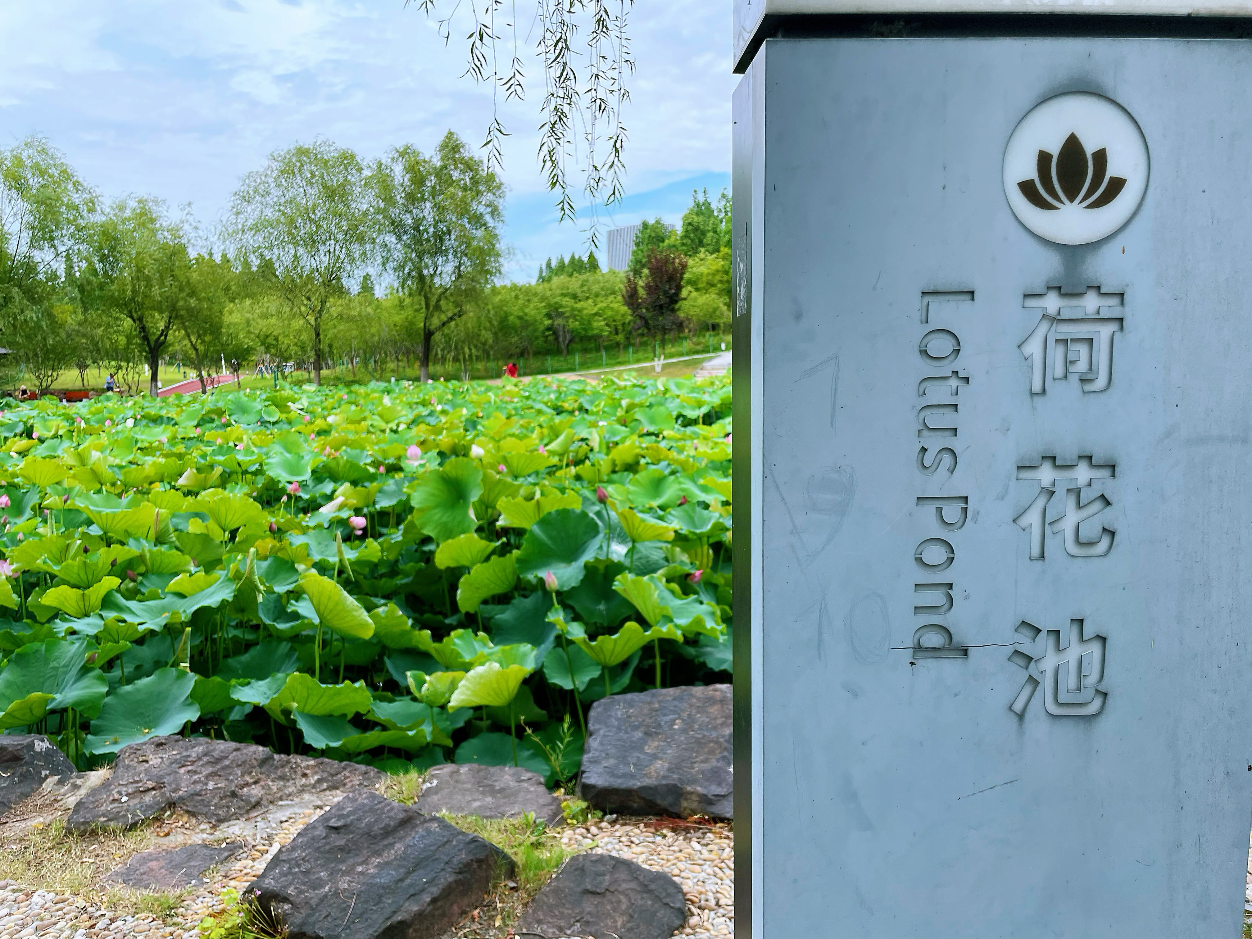 地点1.jpg
