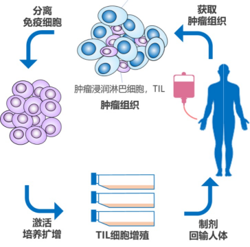 微信图片_20220825111329.png