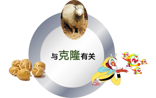 图片1克隆.png