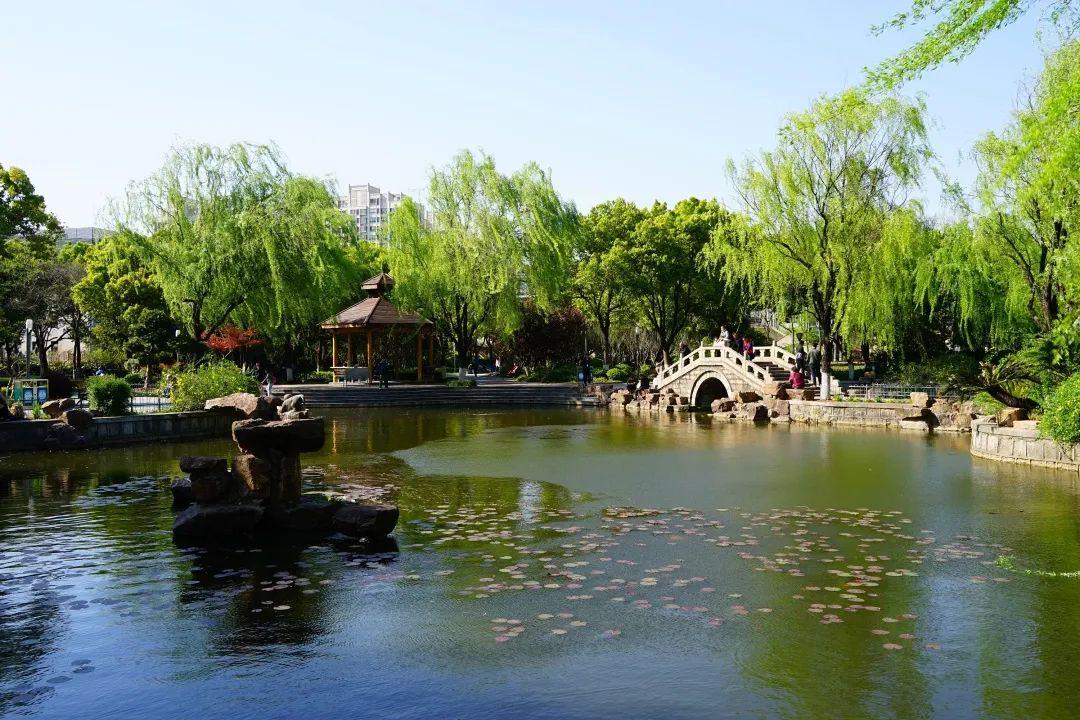 微信图片_20230105180714.jpg