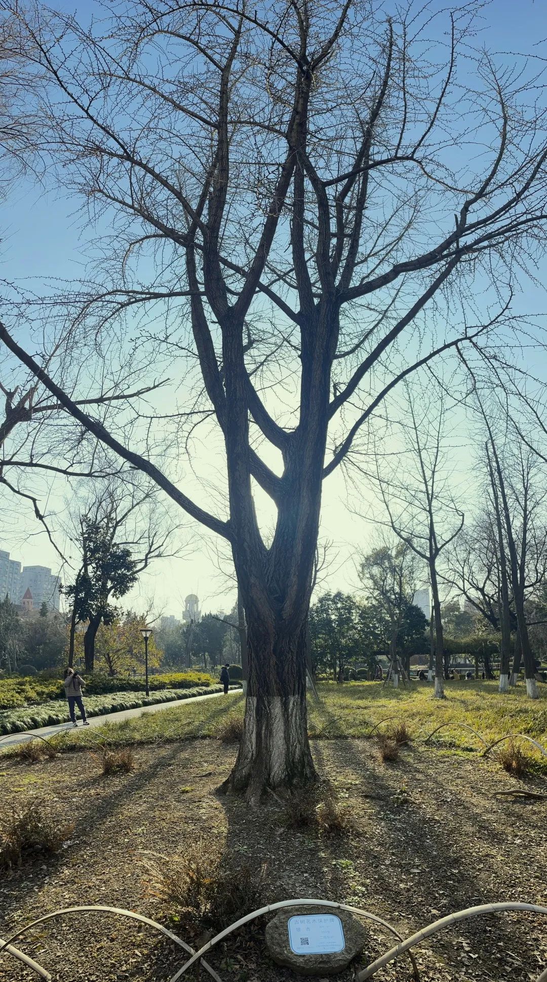 微信图片_20230207172119.jpg