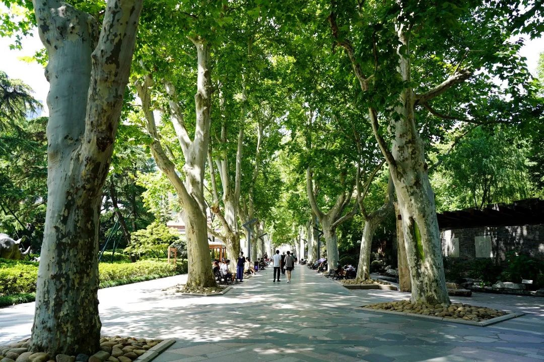 微信图片_20230109142502.jpg