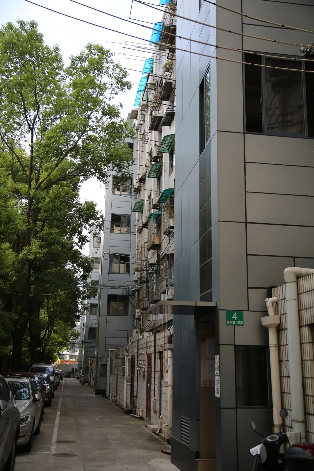 签约啦！上海首个启动整小区全体加装电梯的小区，即将进入“2.0时代”→