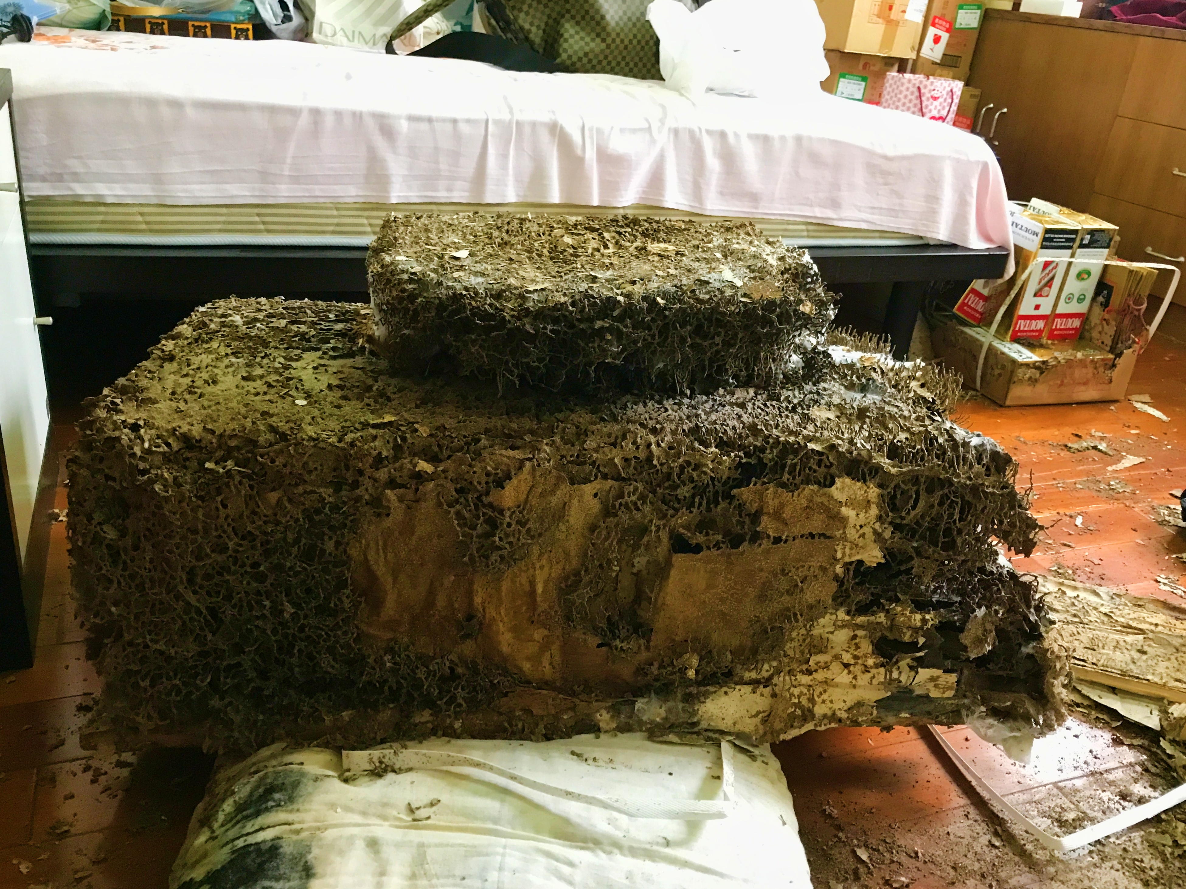 微信图片_20210531125657.jpg