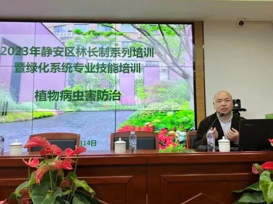 正文图片