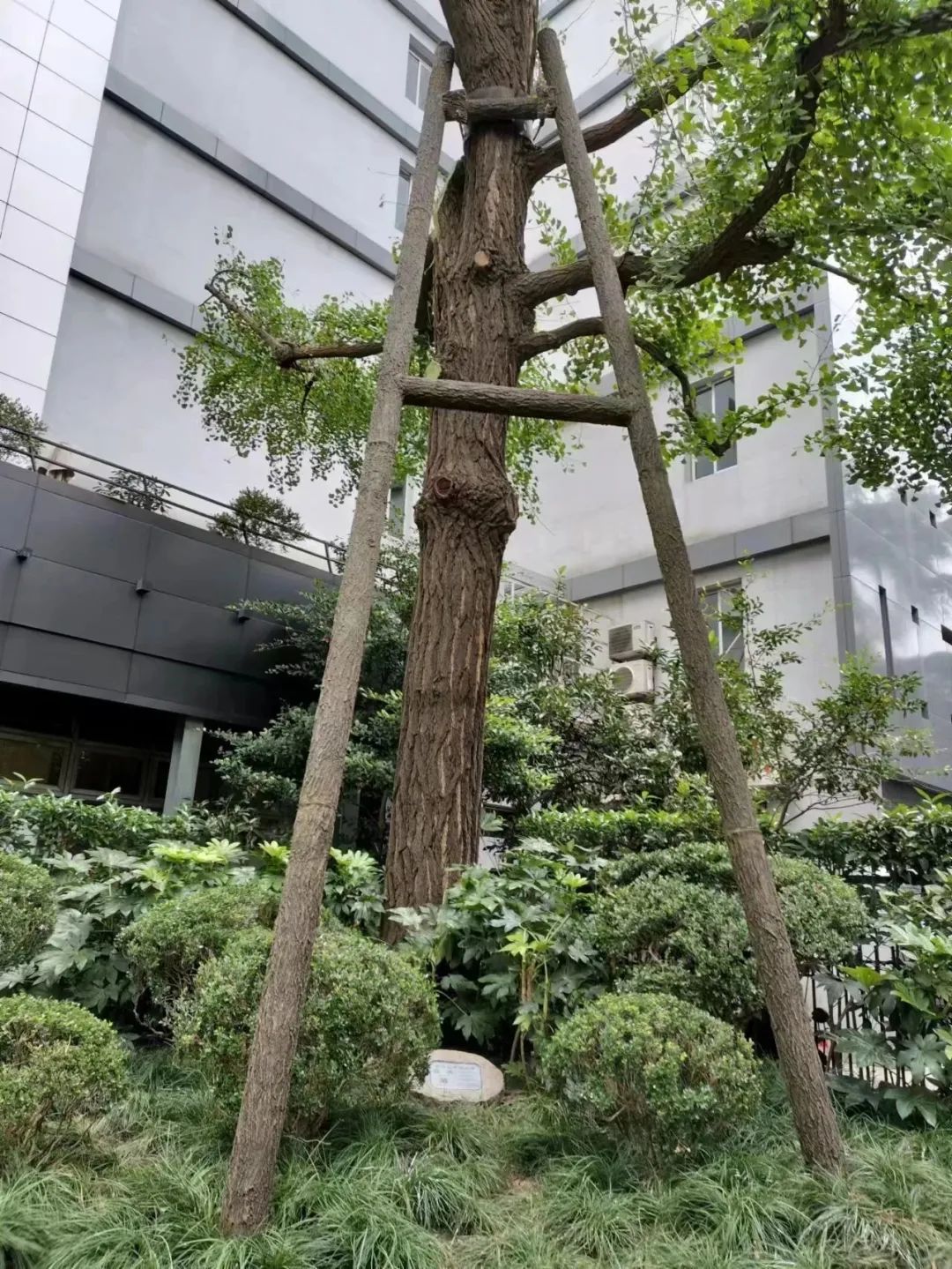 微信图片_20230109142621.jpg