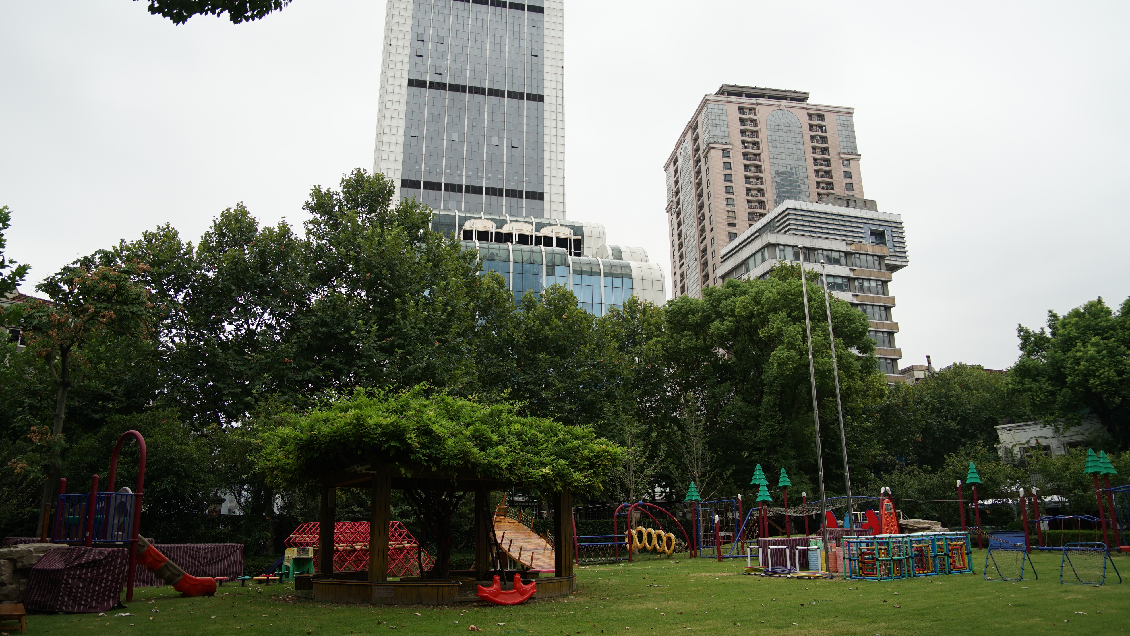 DSC05239.JPG