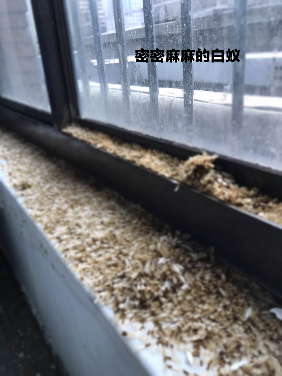 微信图片_20210531125630.jpg