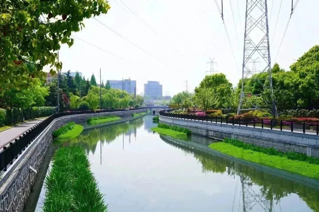 e0ba9a1df4cf49a09696e083b36720bb.jpg