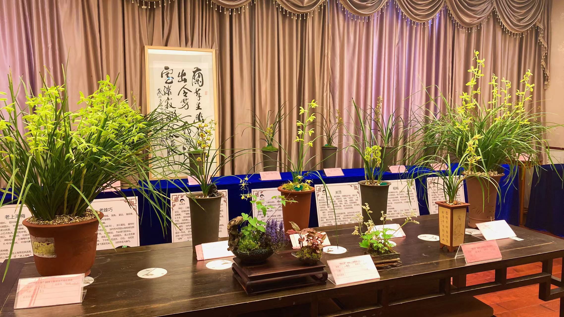正文图片
