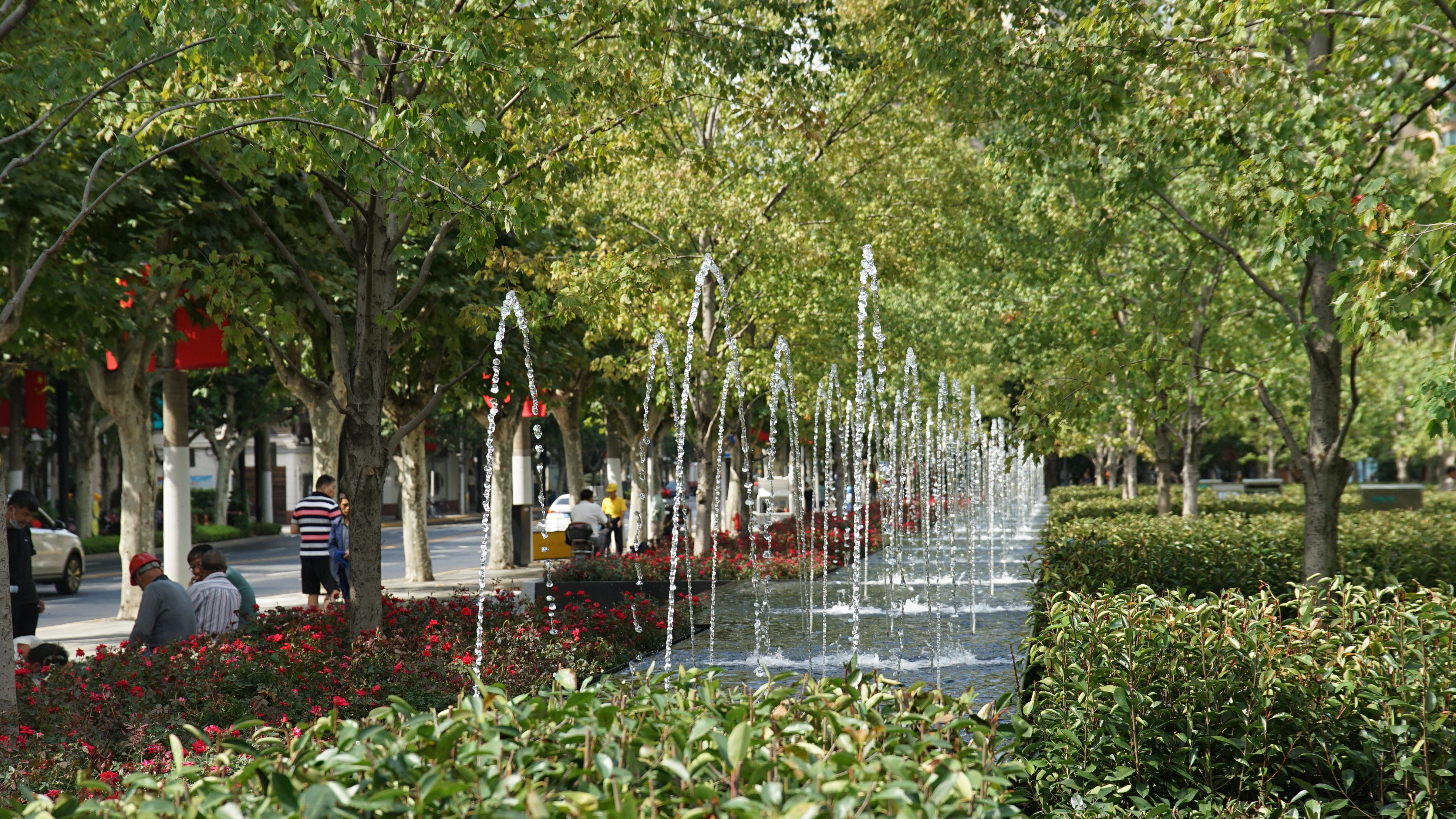 DSC05526.JPG