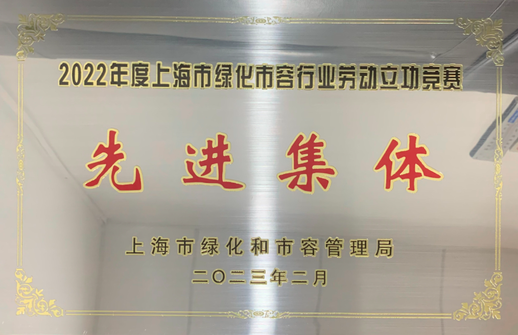 正文图片