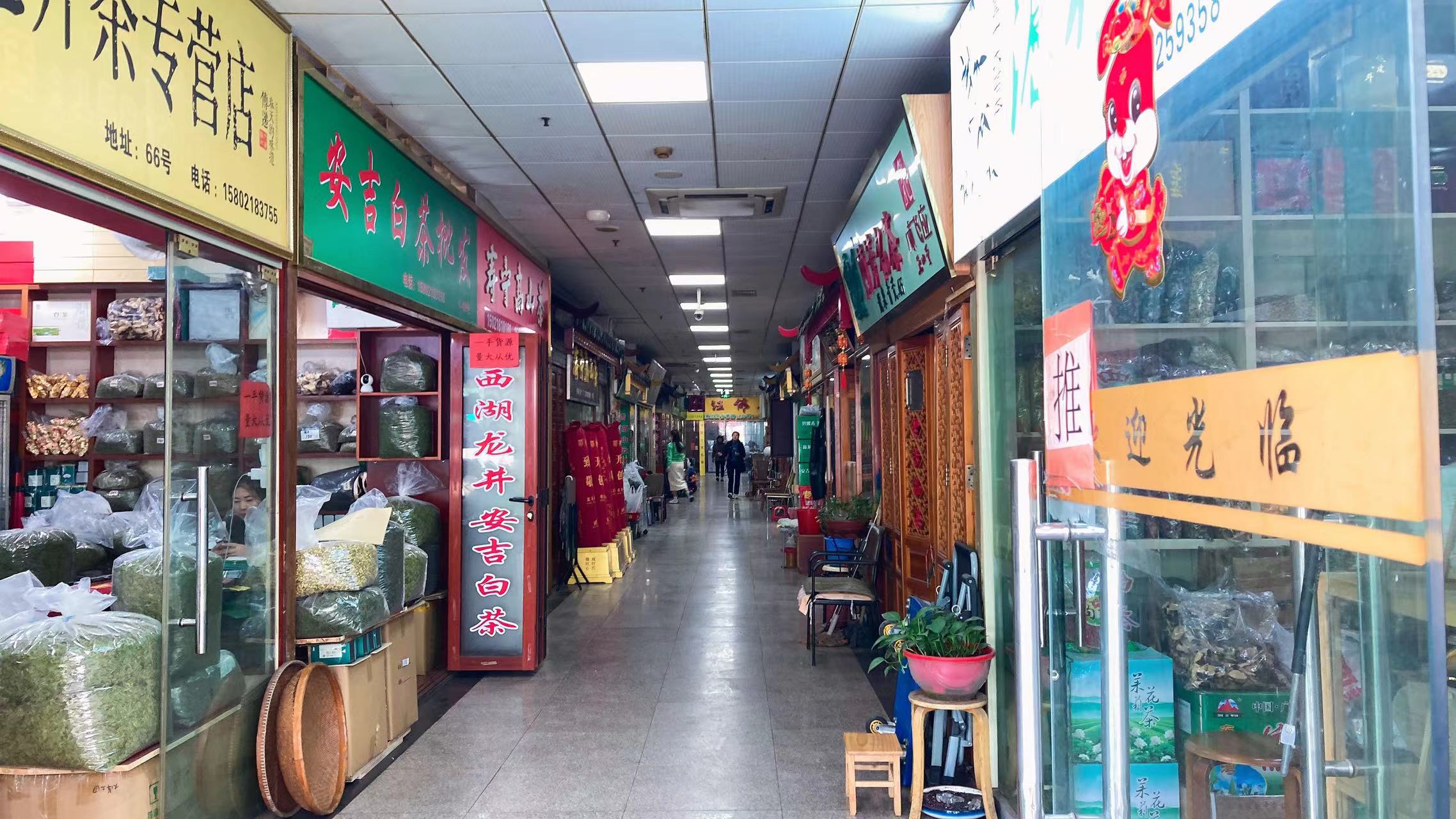 正文图片
